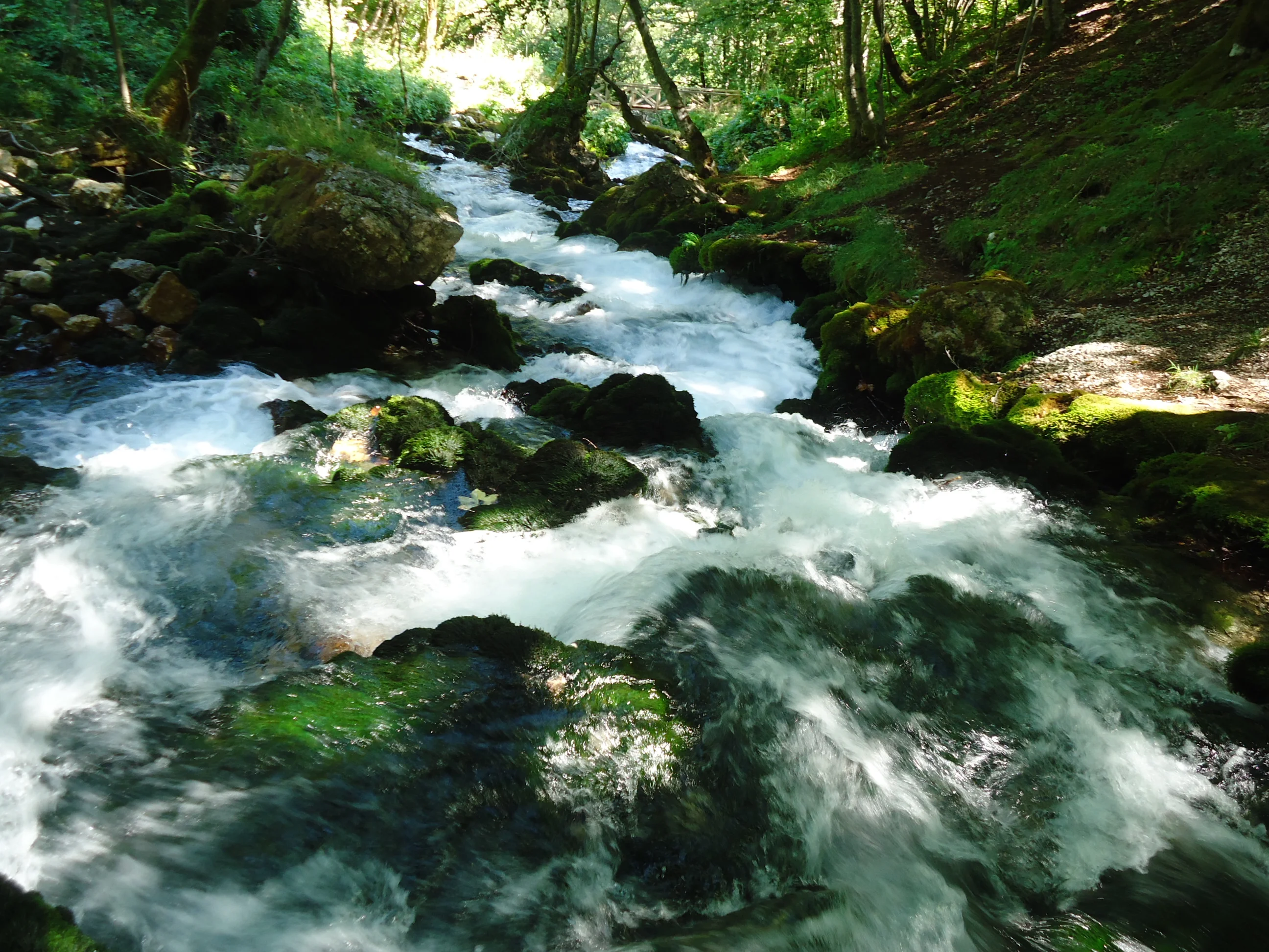 DSC02343.webp