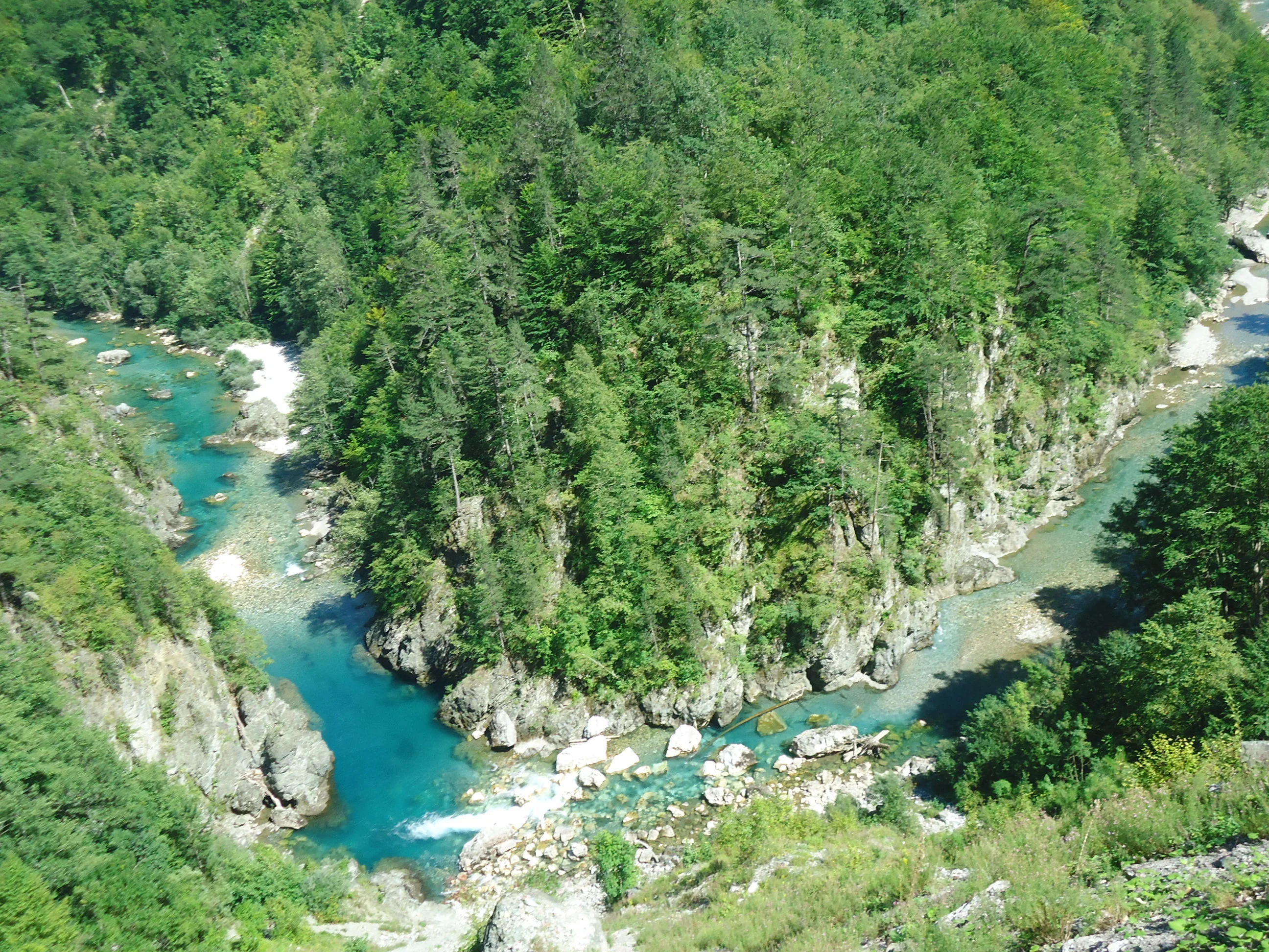DSC02349.webp