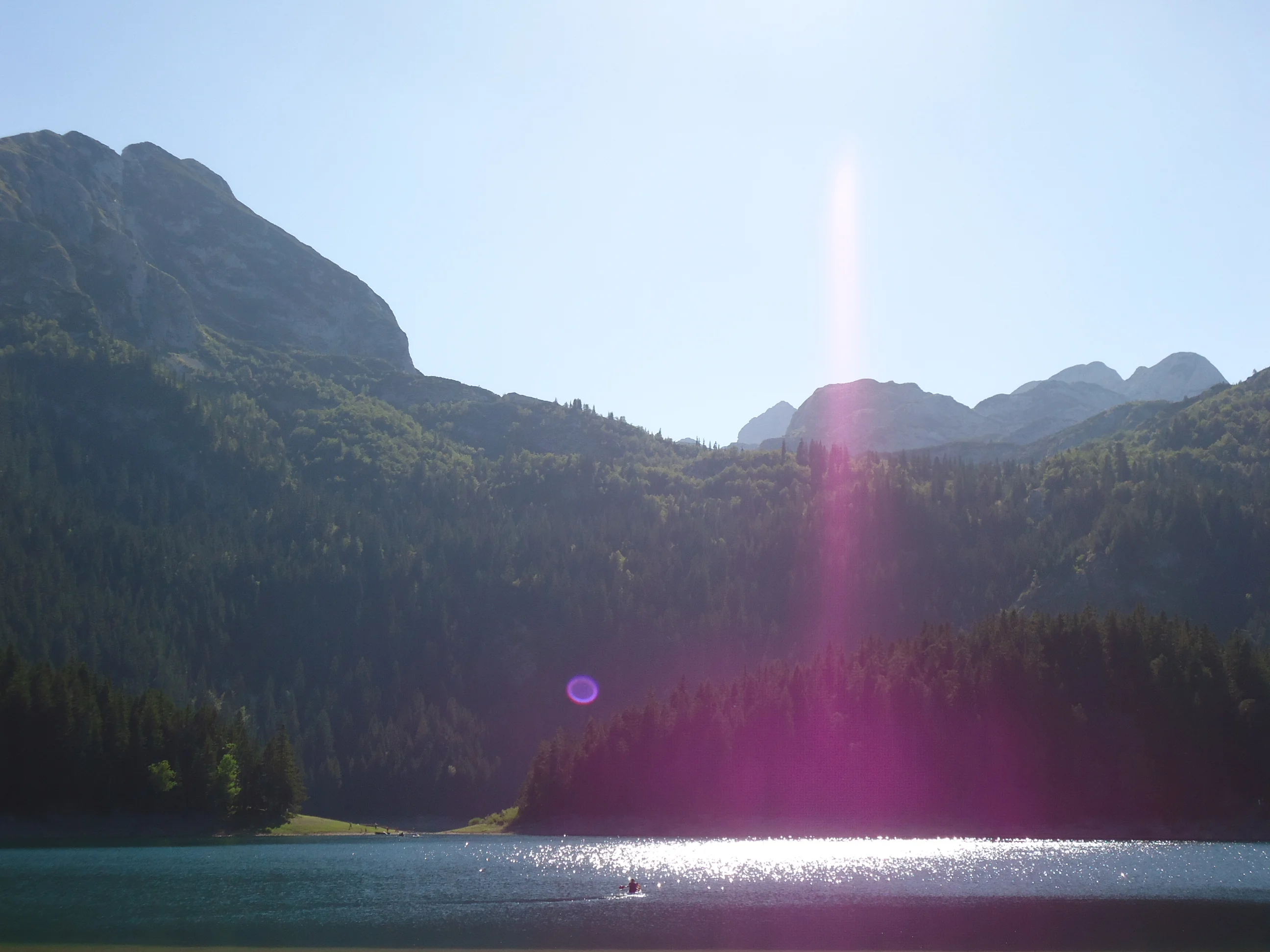 DSC02373.webp