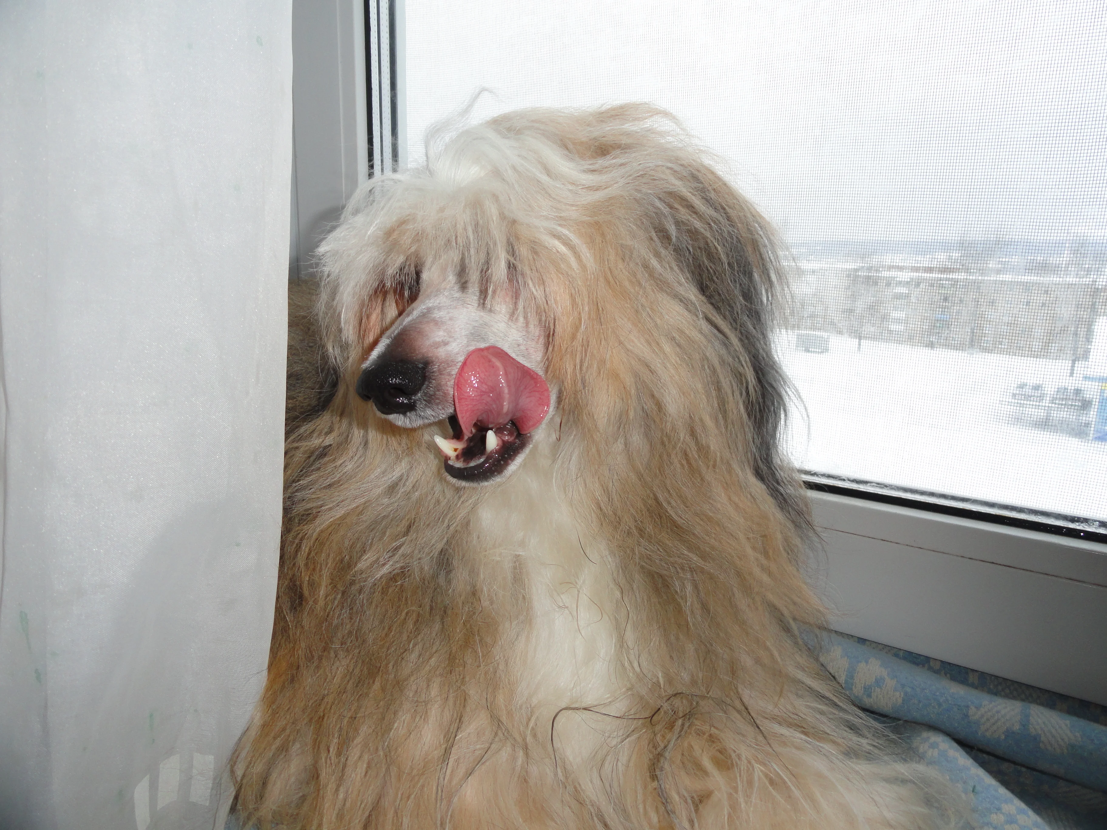 DSC02387.webp