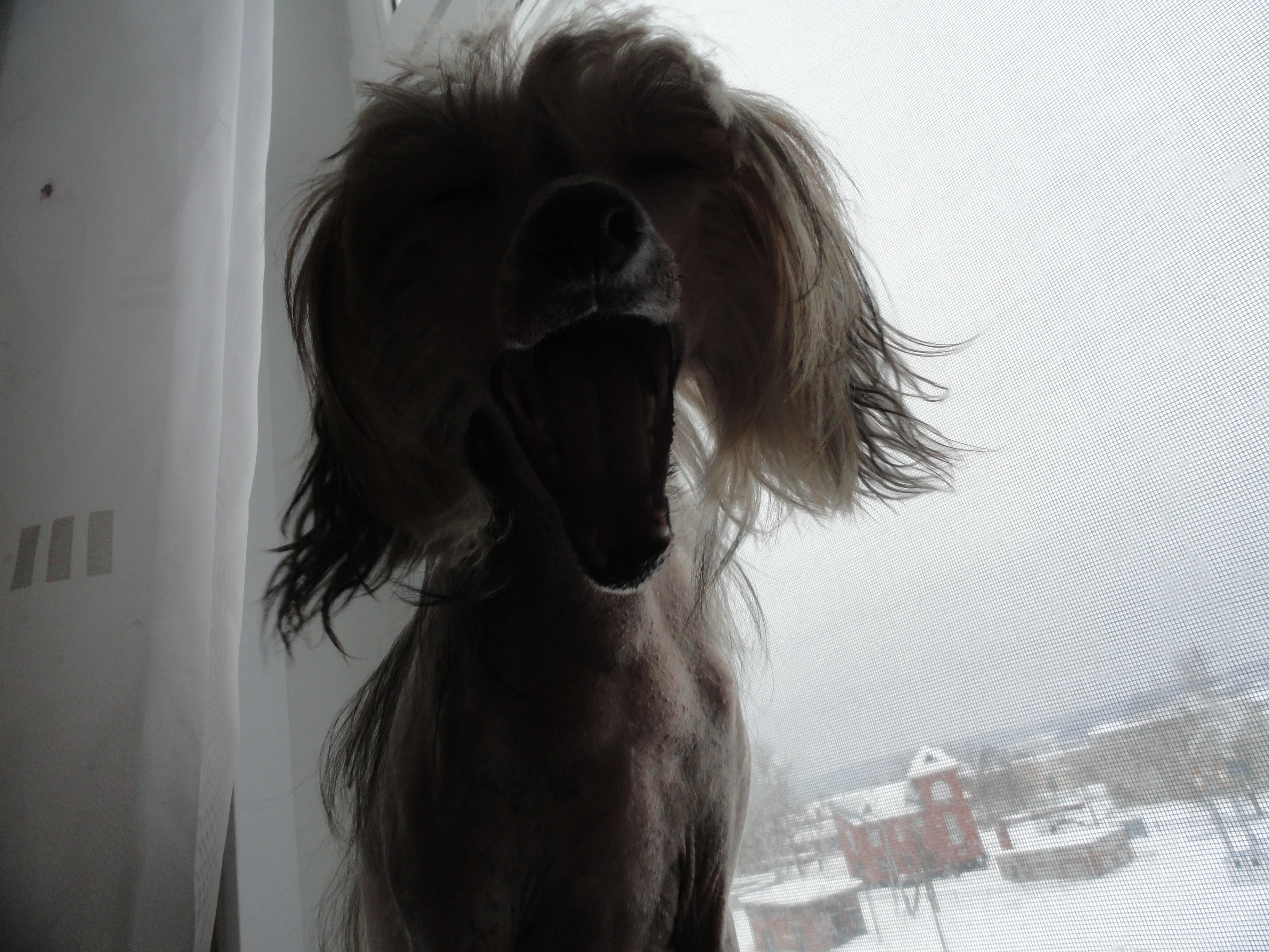 DSC02420.webp