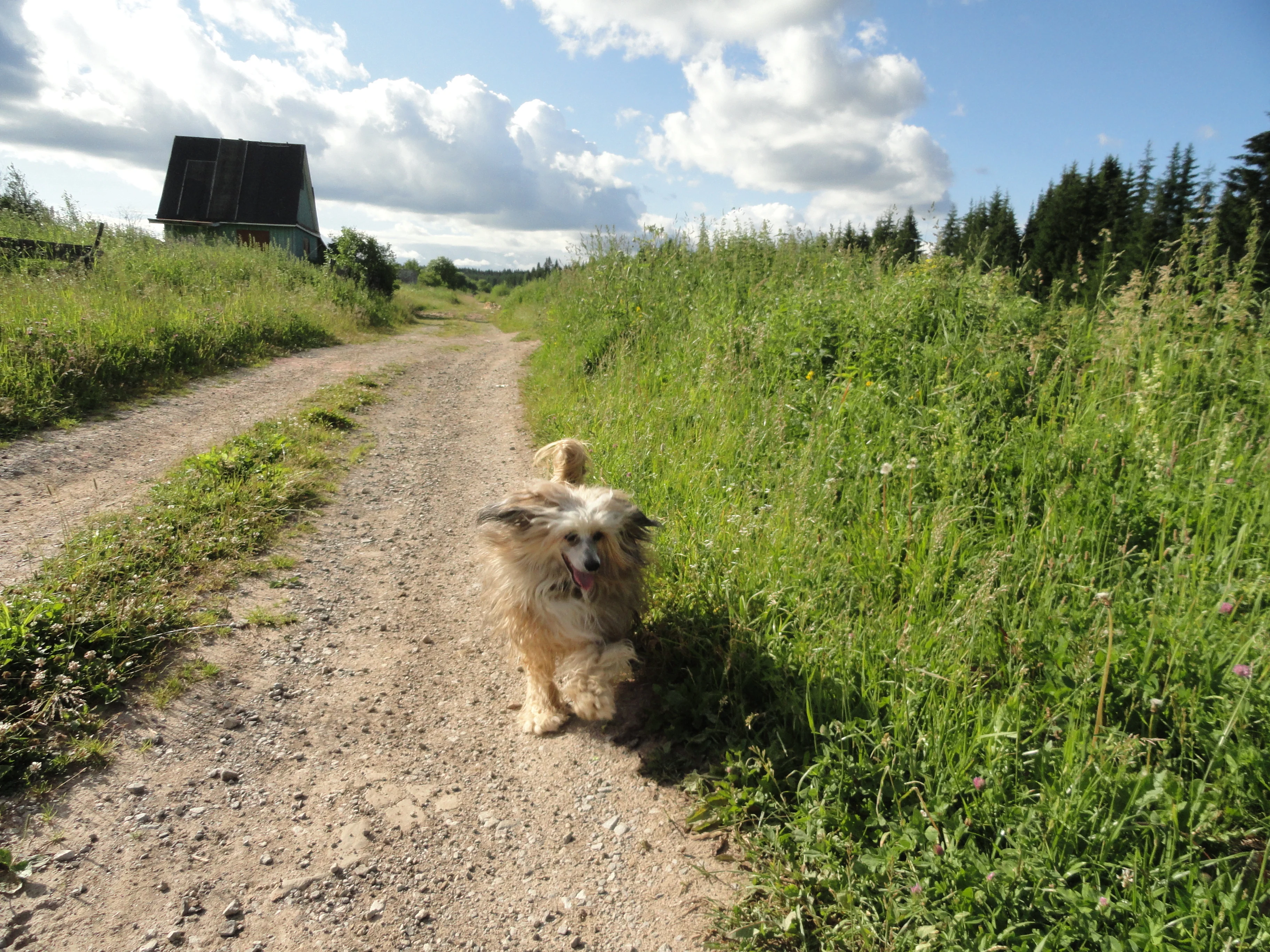 DSC02526.webp