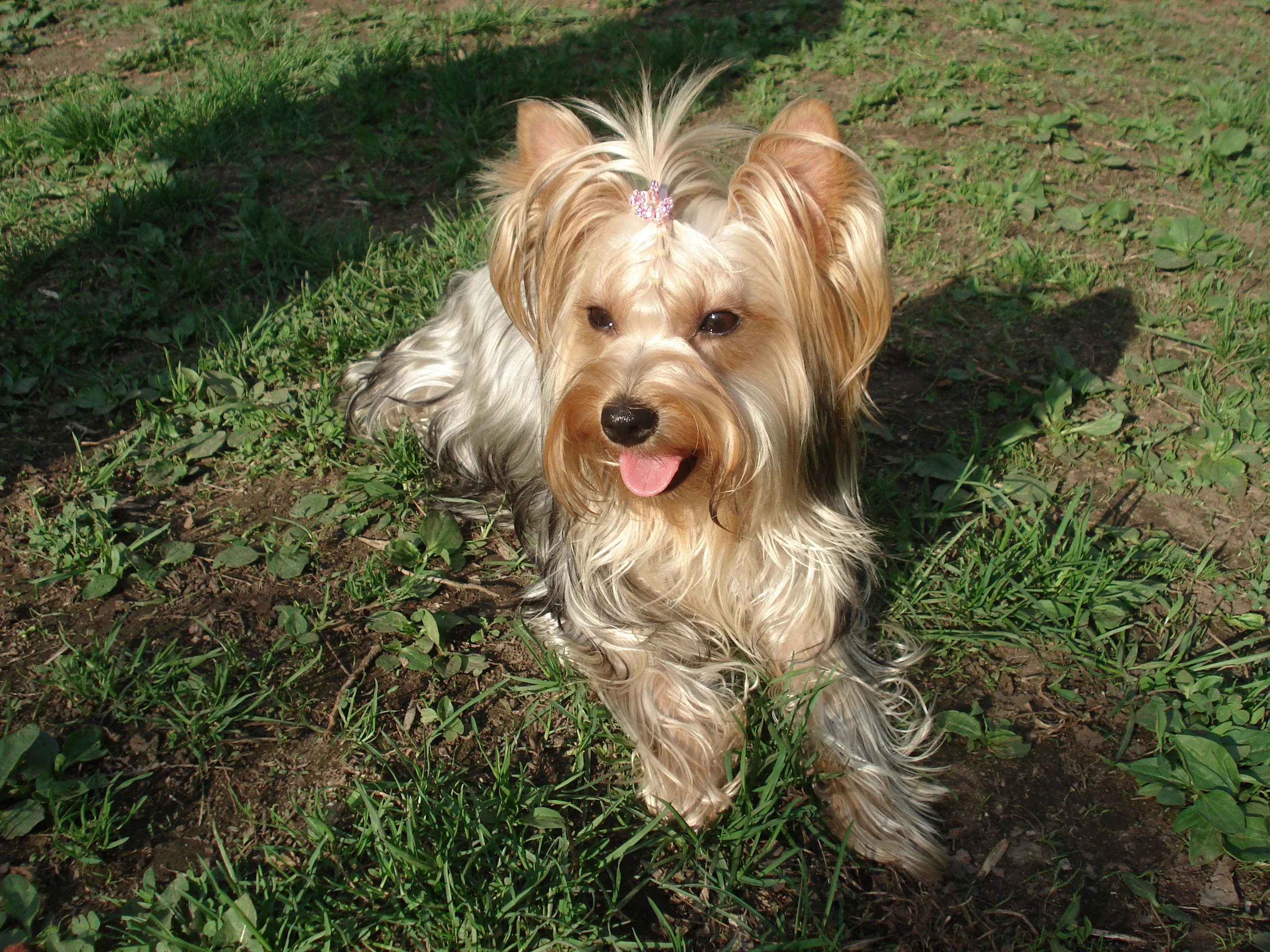 DSC04461.webp