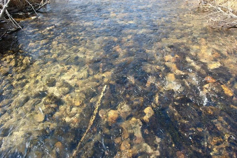 DSC08147_новый размер.webp