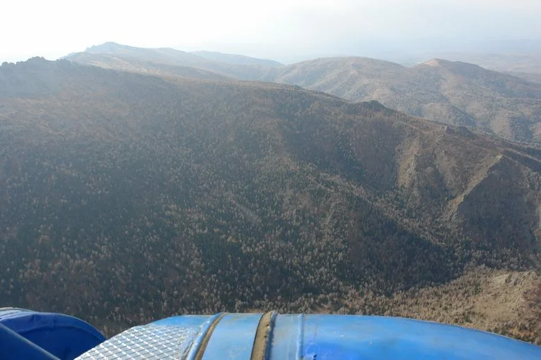 DSC08185_новый размер.webp