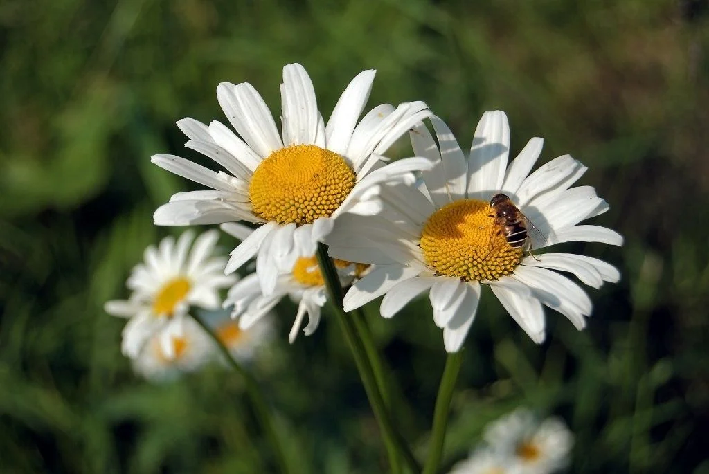 DSC_ 150 а не кадр.webp