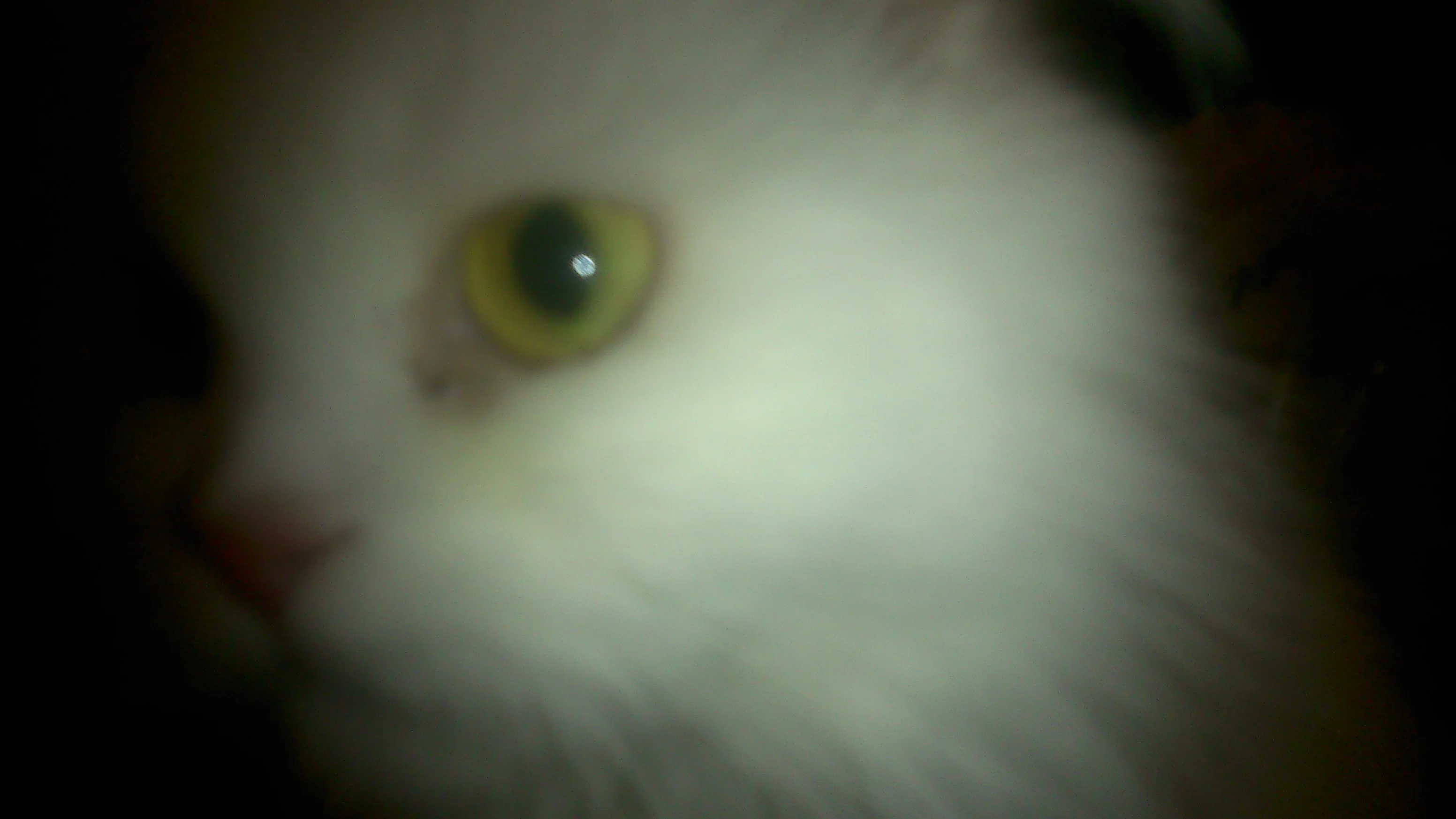 DSC_0021.webp
