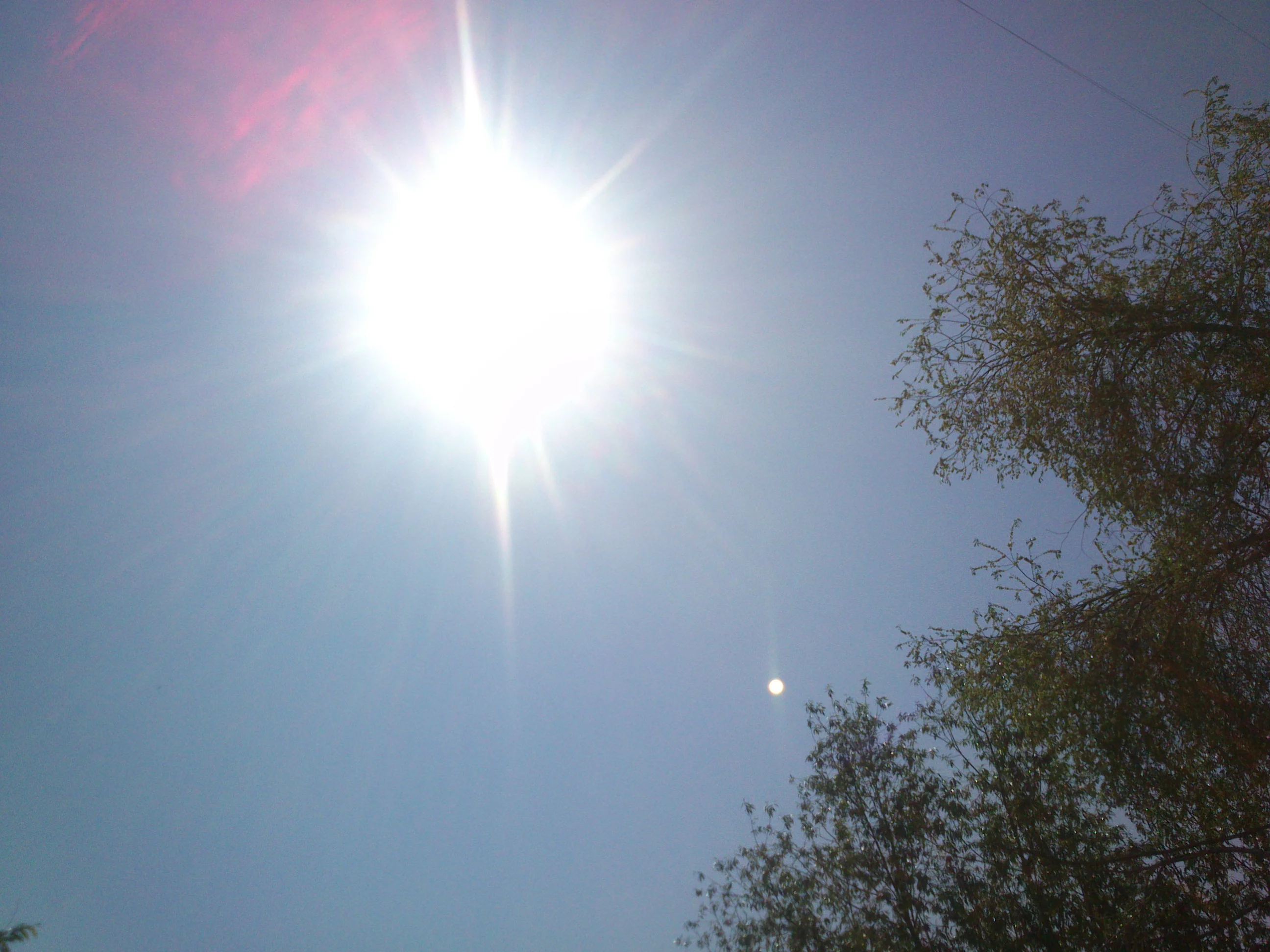 DSC_0135.webp