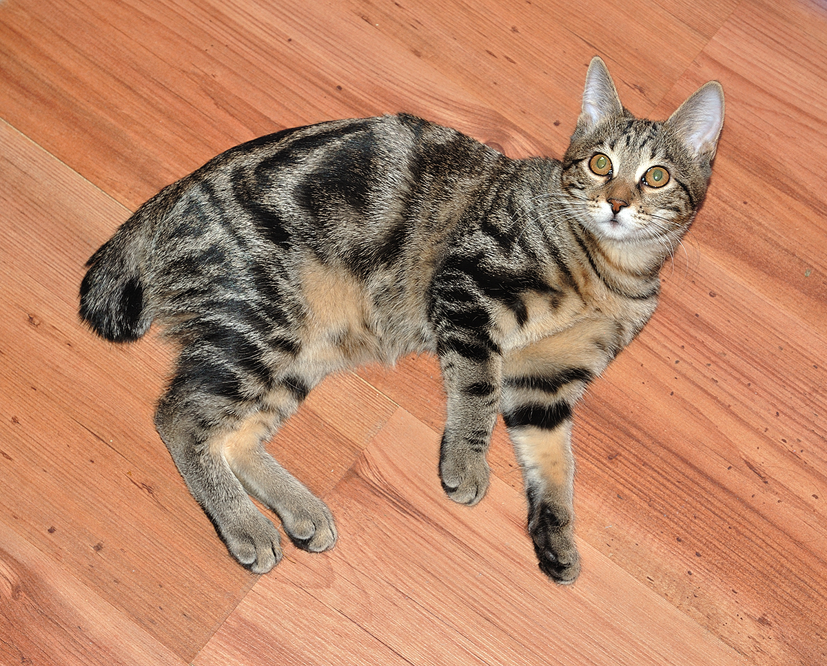 DSC_0632.jpg DSC_0632.jpg