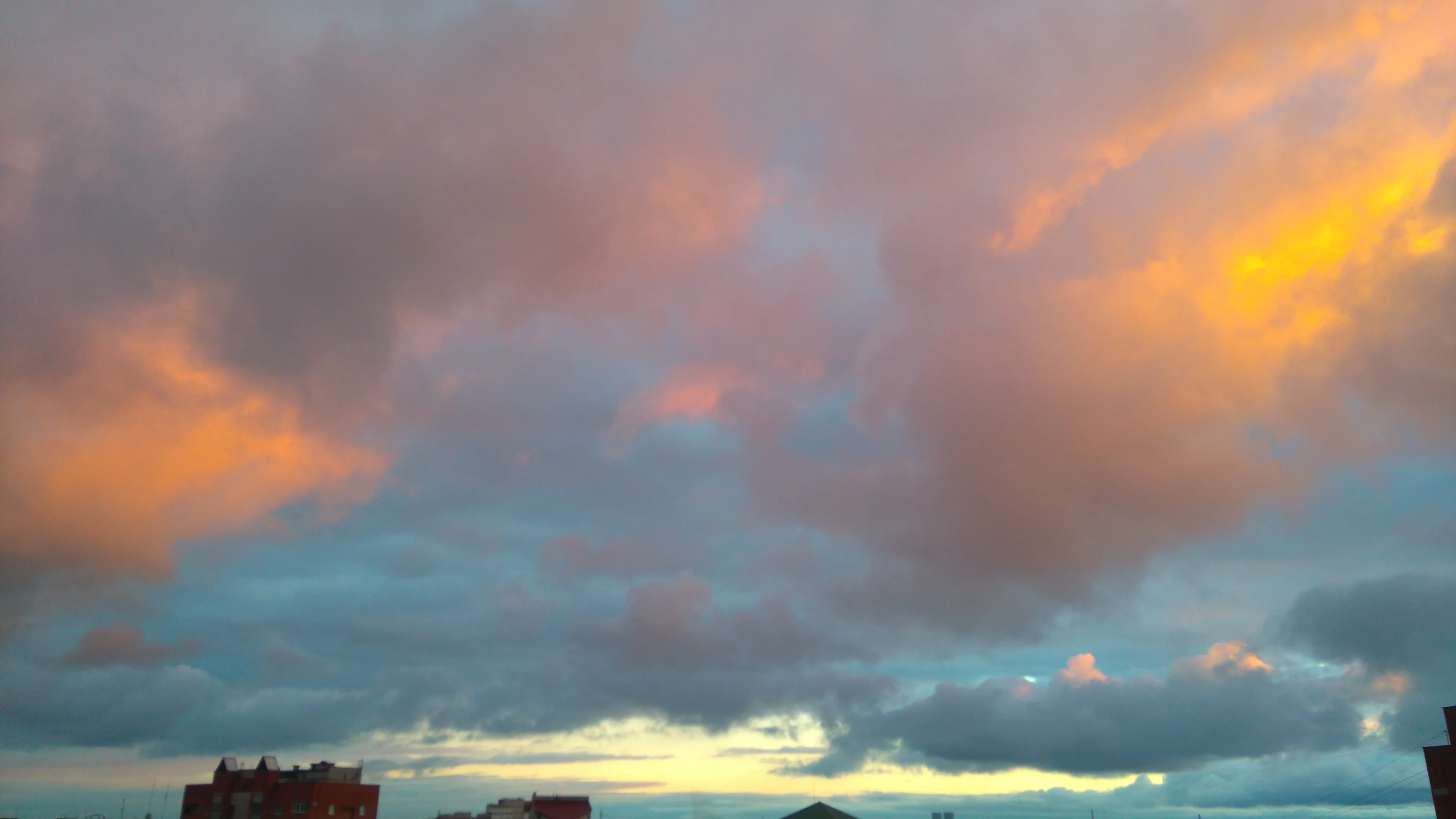 DSC_0660.webp