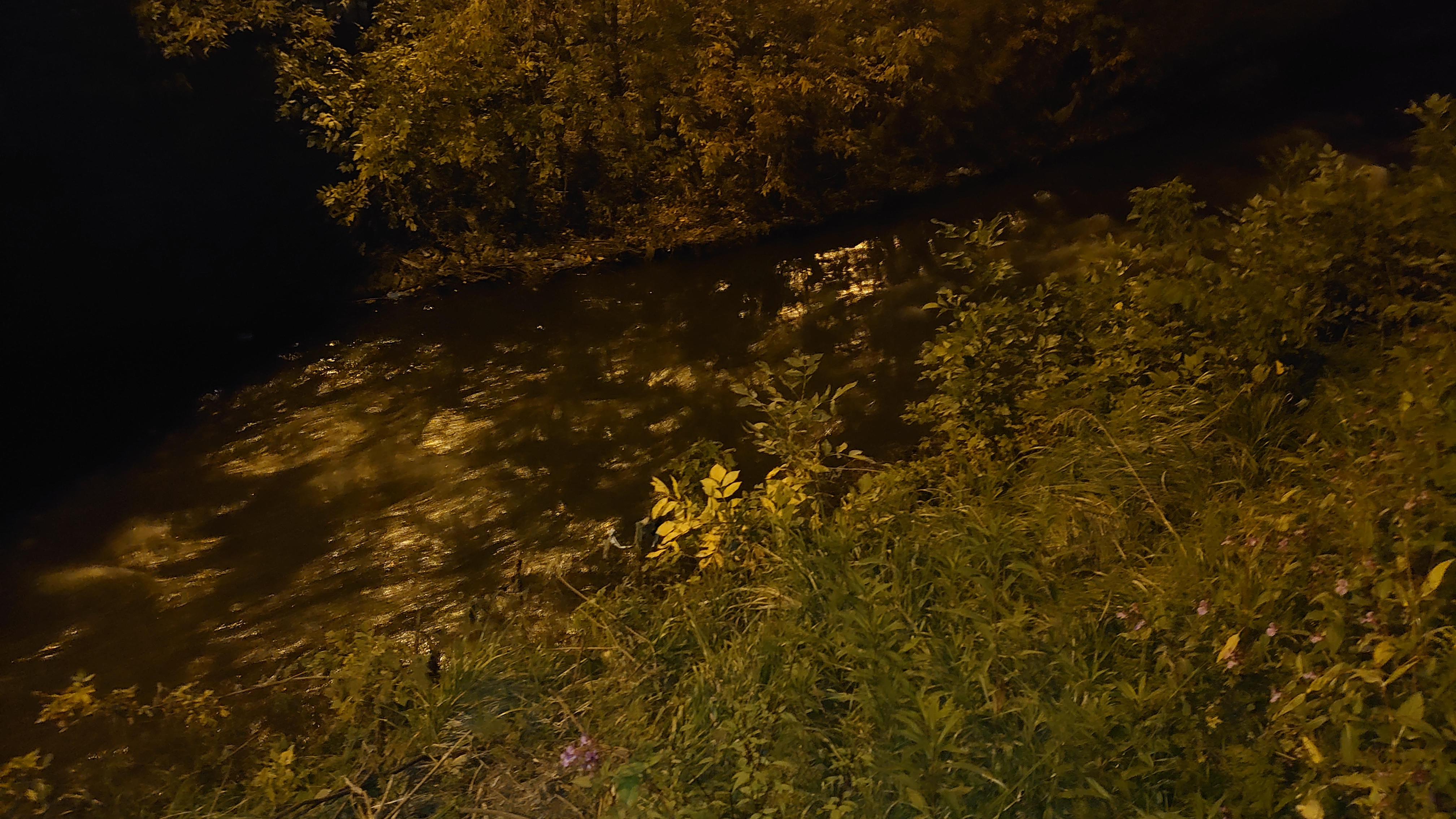 DSC_1237.JPG