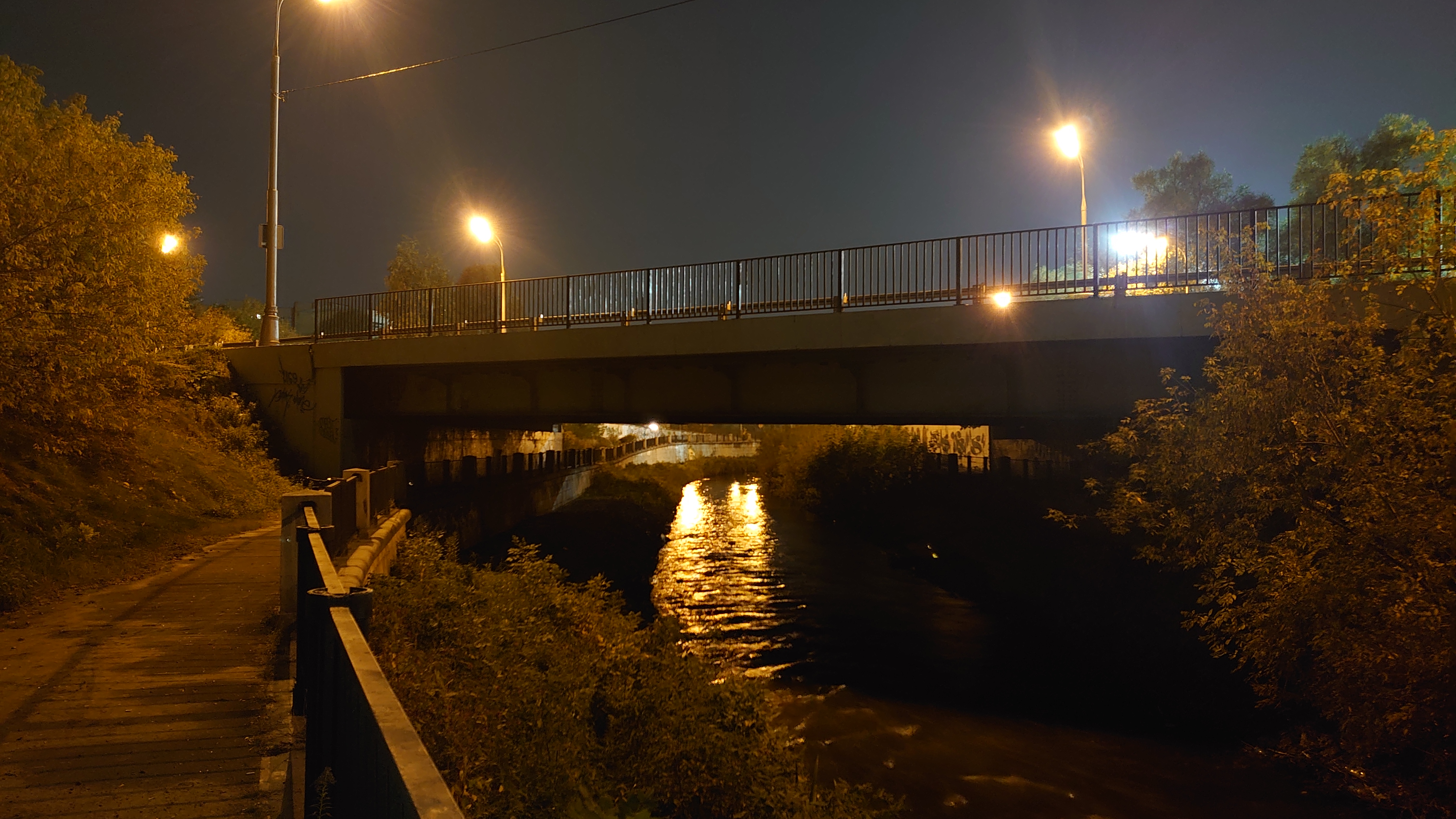DSC_1239.JPG