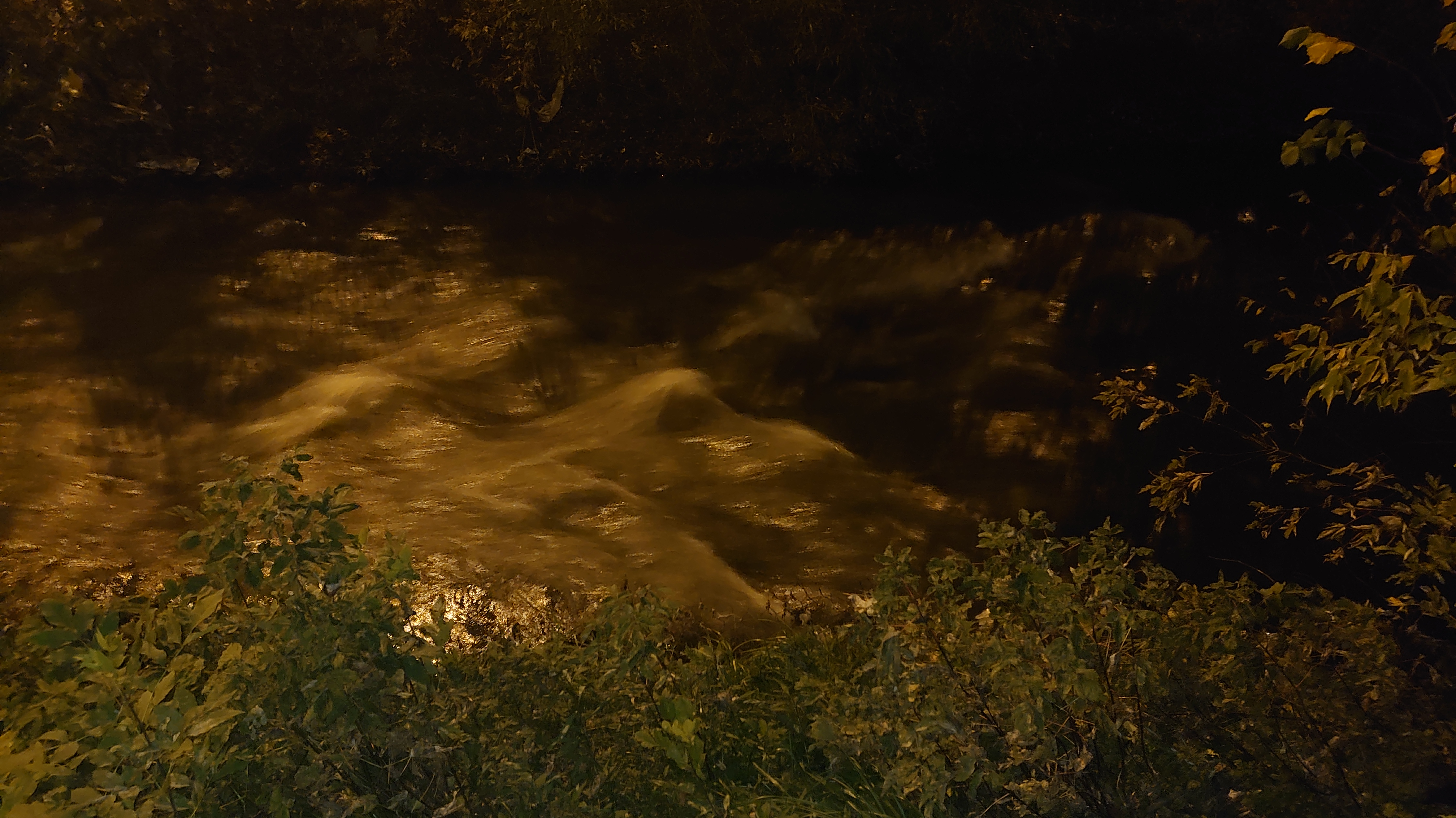 DSC_1240.JPG