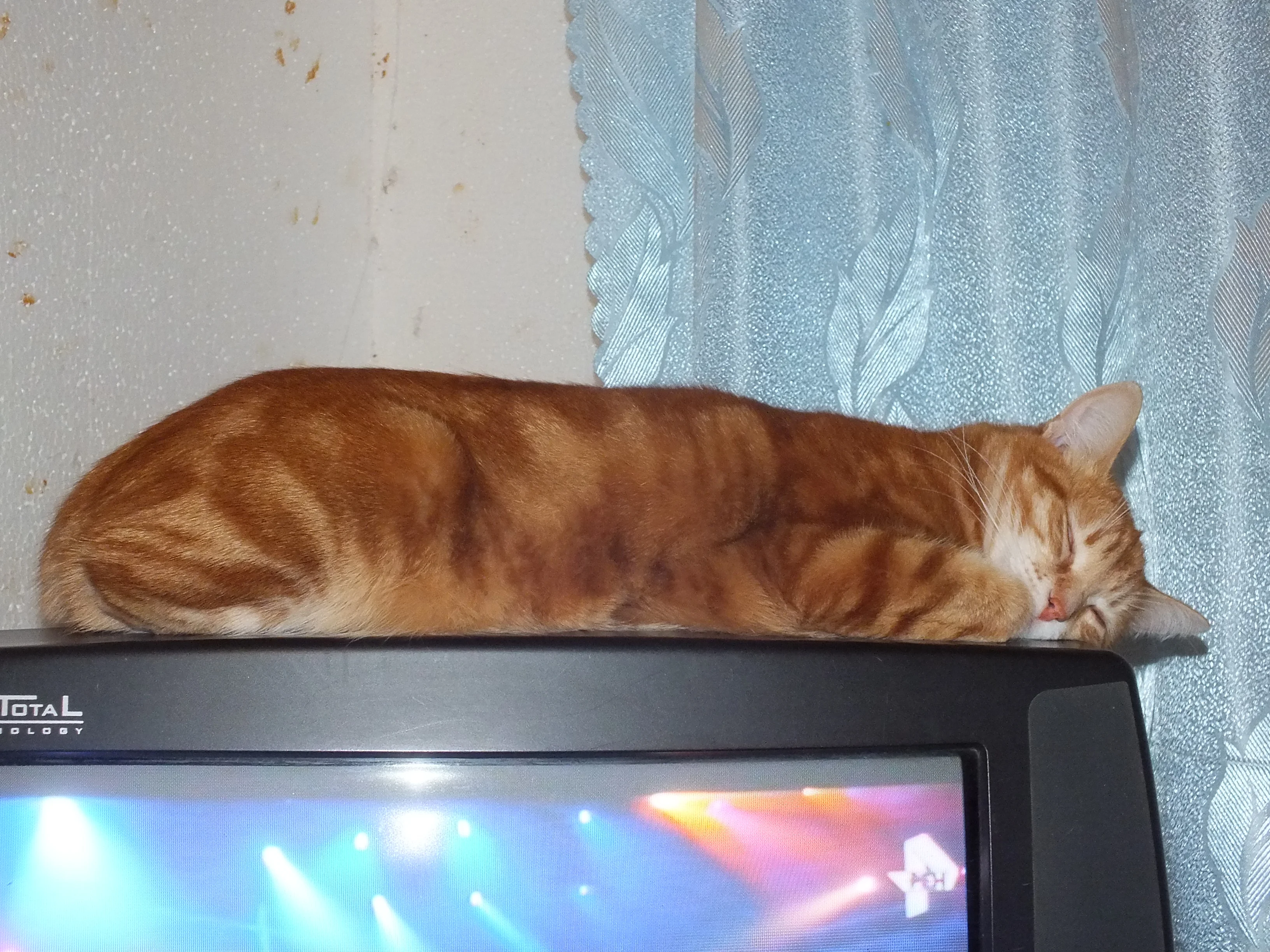 DSCF3057.webp