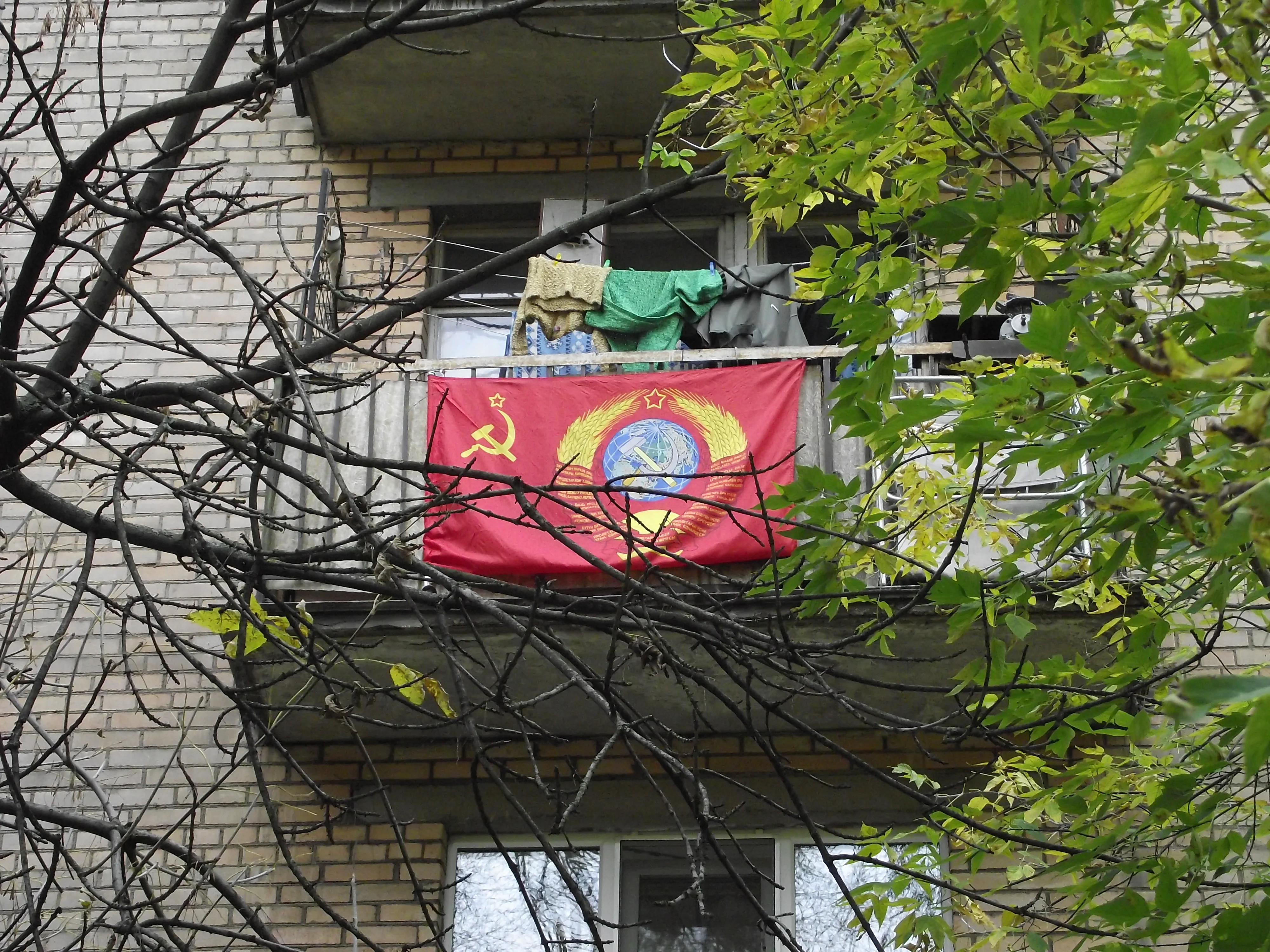 DSCF4214.webp