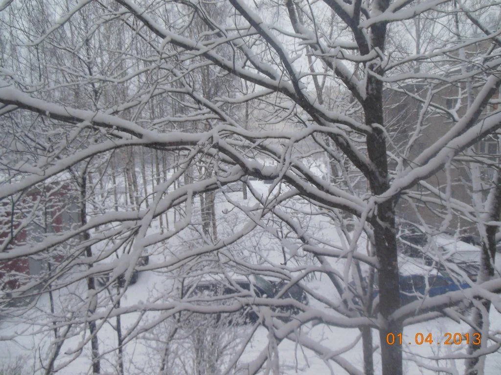 DSCN0530.webp
