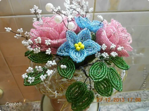 dscn1877.webp