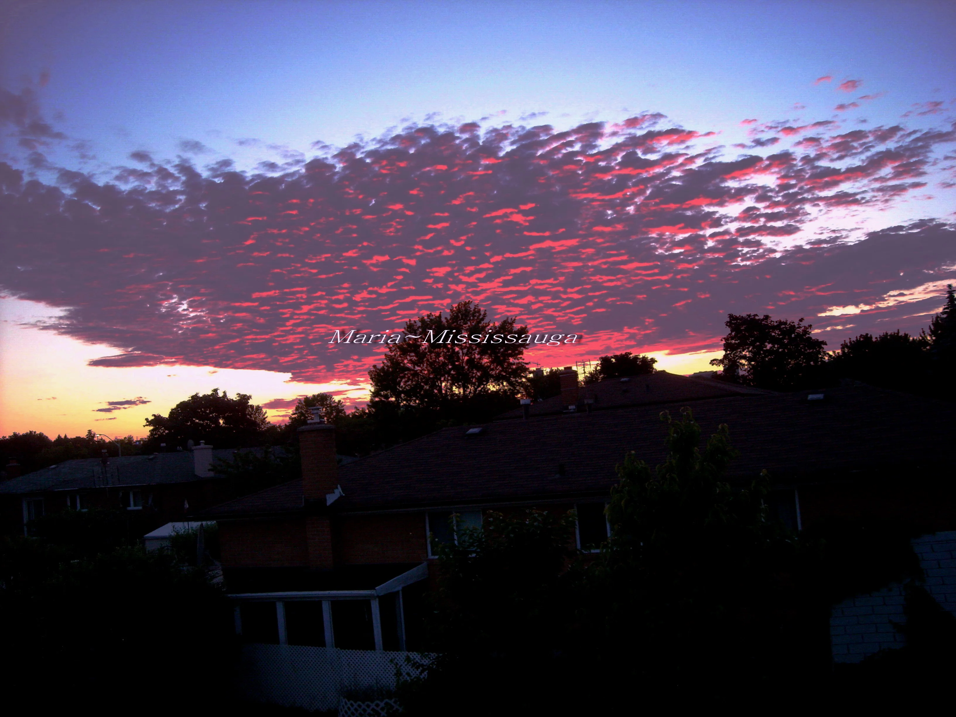 DSCN2807_mississauga photo.webp