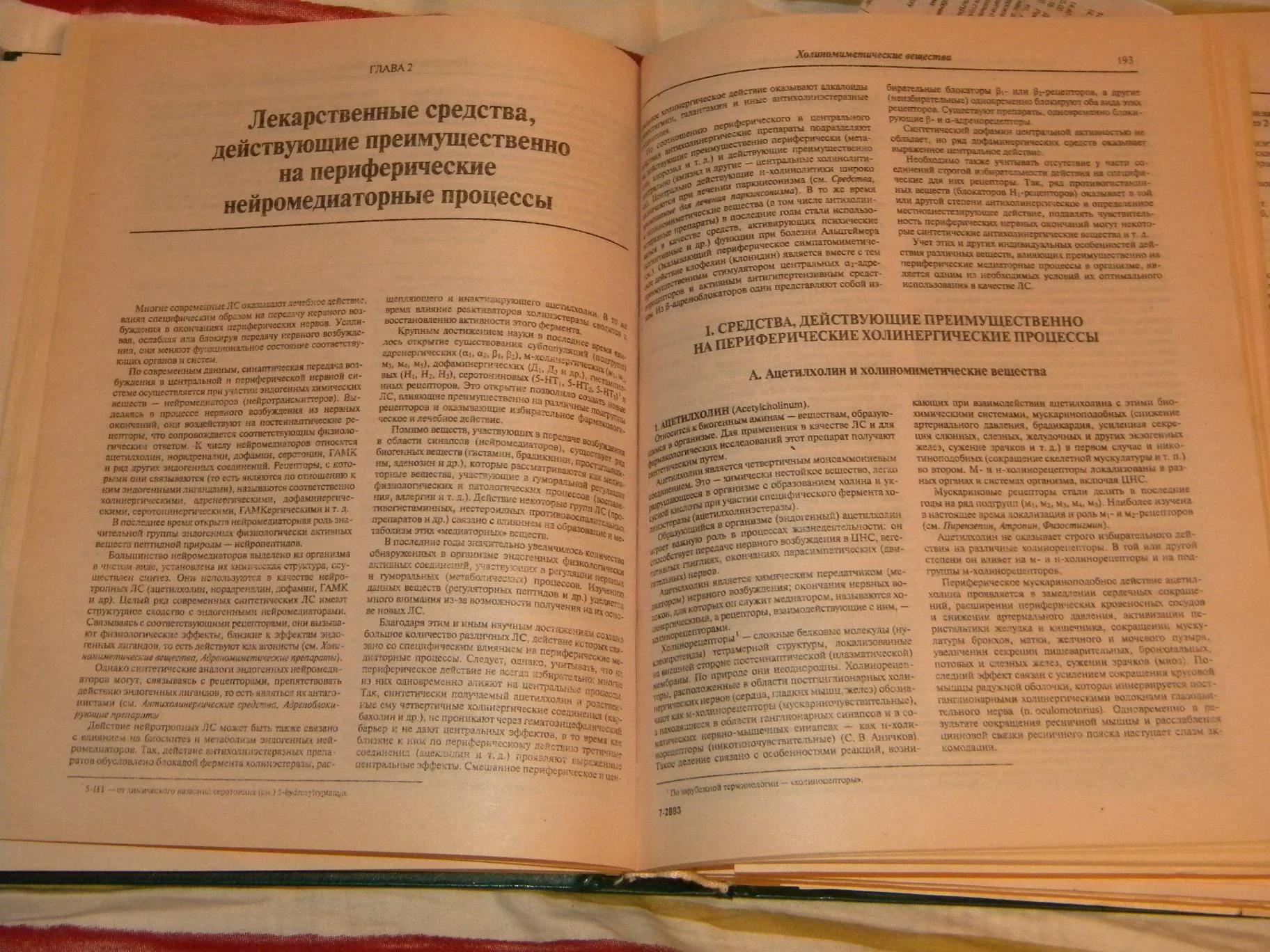 DSCN2843.webp