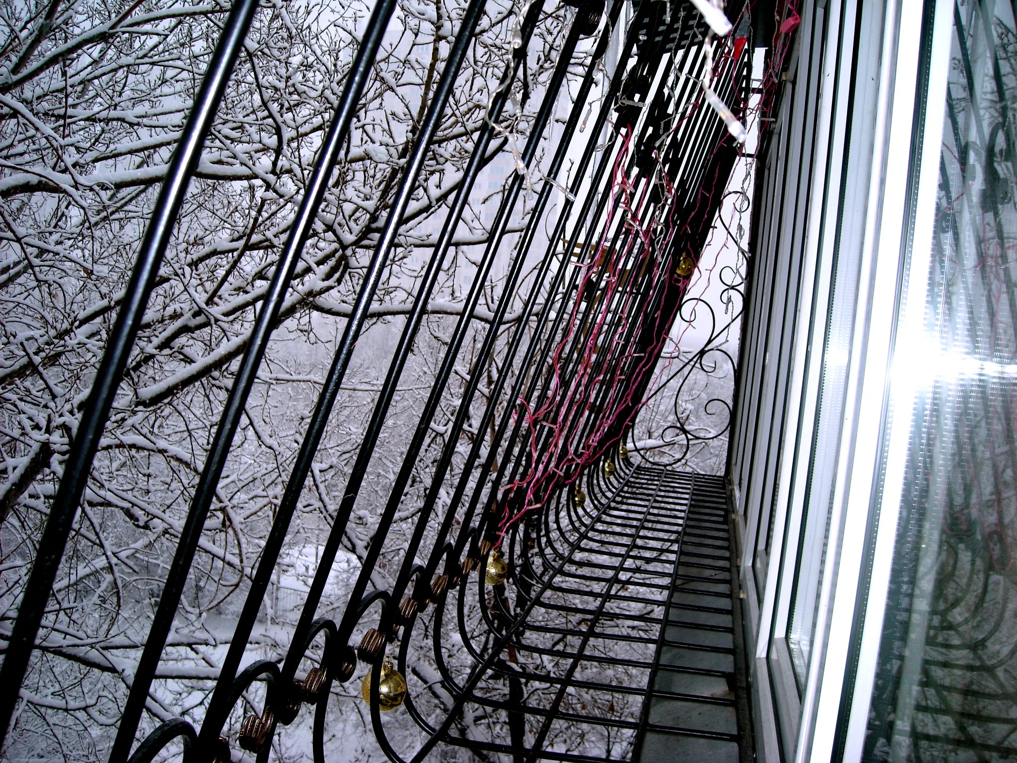 DSCN3496-Первая зима.webp