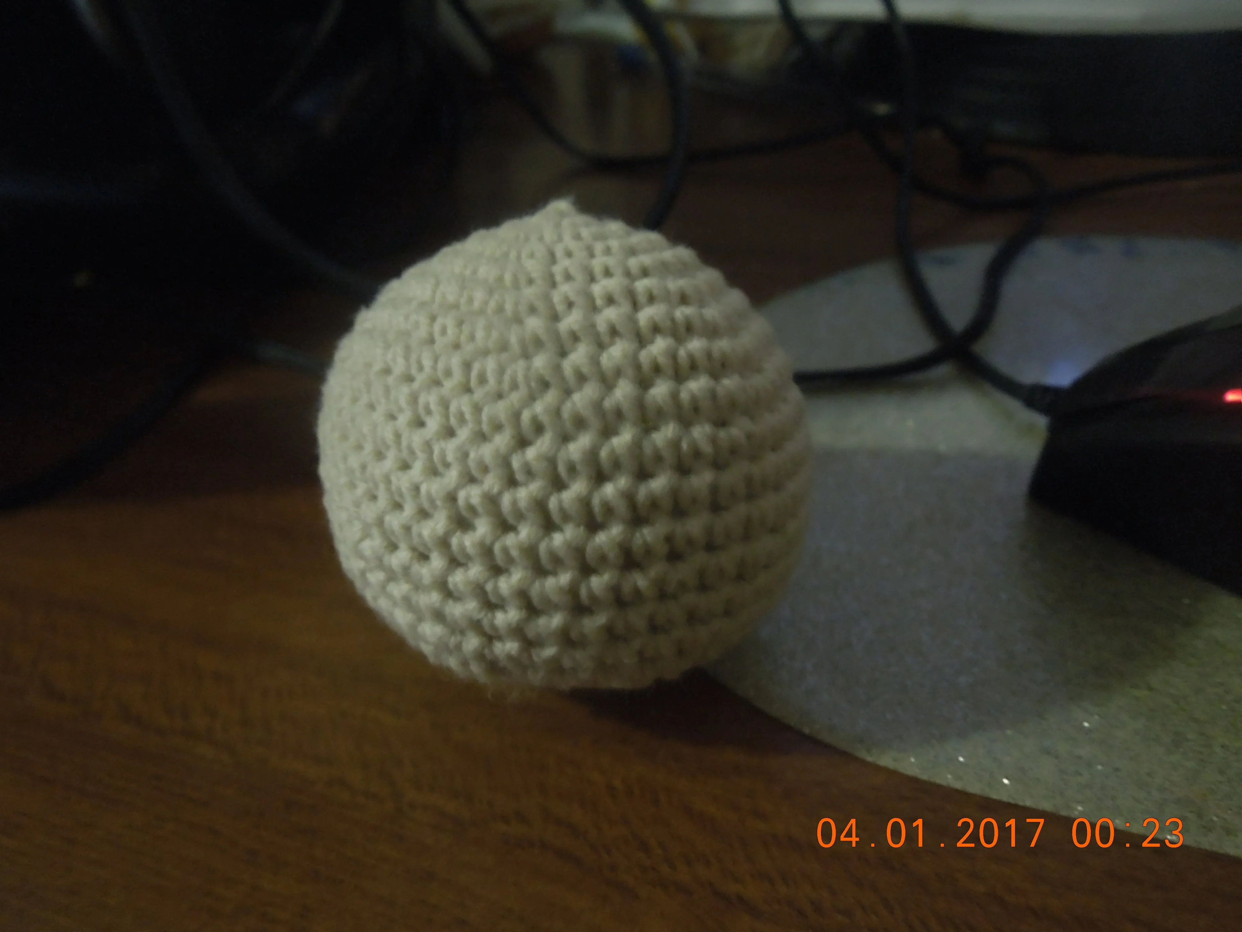 DSCN3668.webp