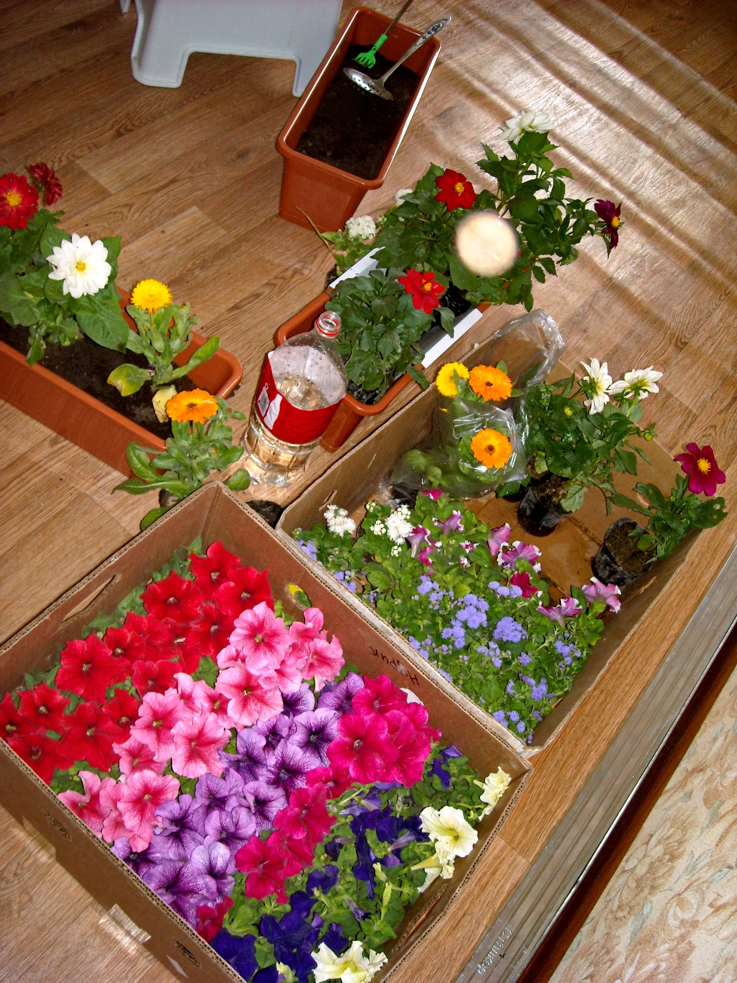 DSCN3798 так начиналось.webp