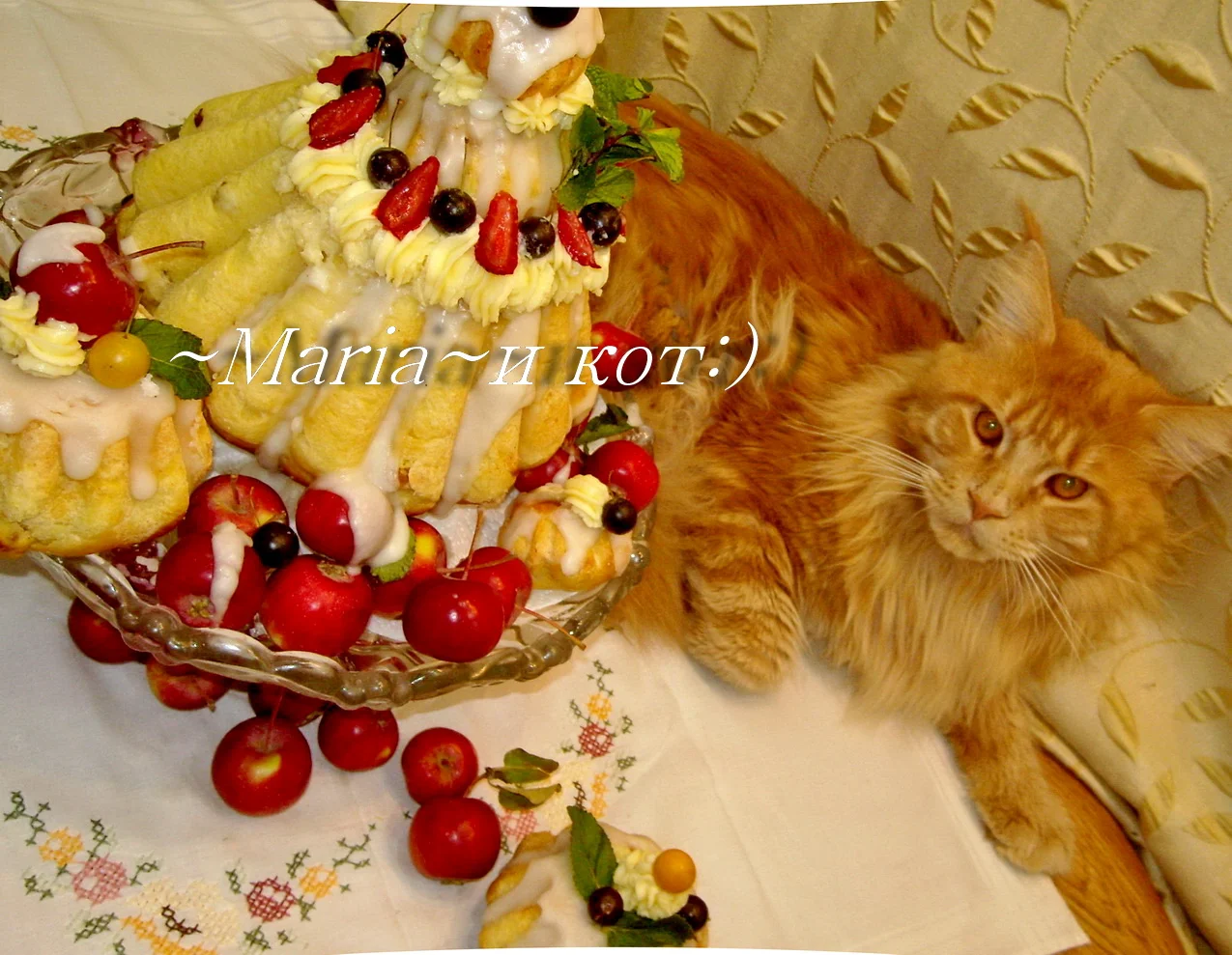 DSCN4054 ром баба и -мейн кун--1-05.webp