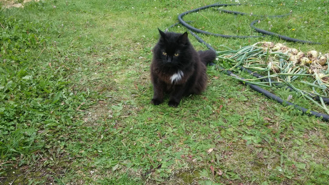 Дусик 2018.webp