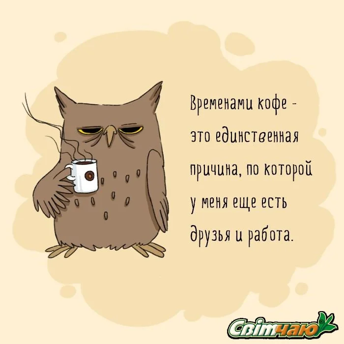 DUYaeC8W4AEeHp8.jpg large.webp