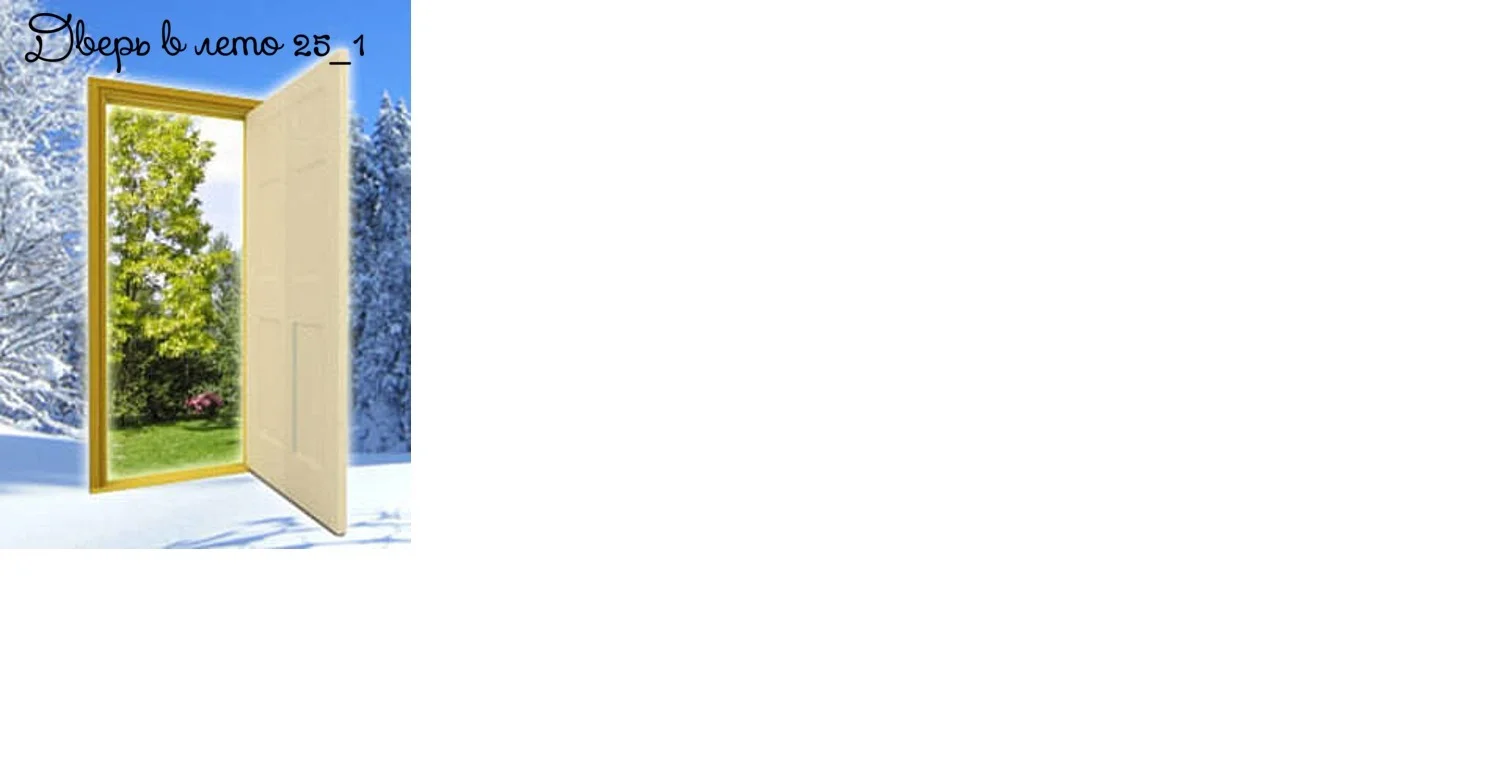 Дверь в лето мое.webp