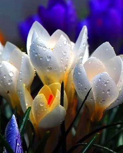 DYG4xF_fZKQ.webp