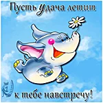 dyubvi-udachi_1 (1).webp