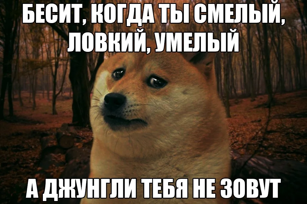 dzhungli_zovut_z_prost.webp