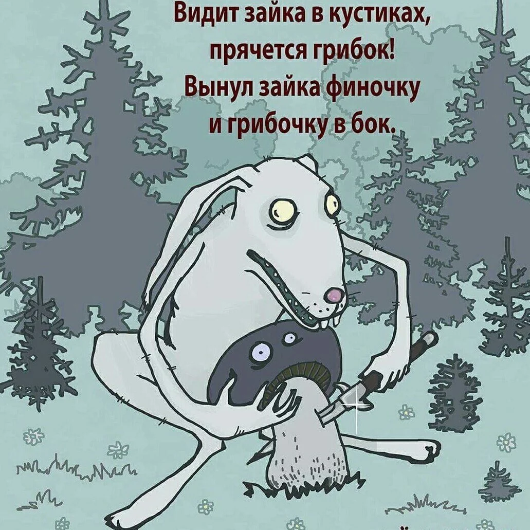 dZwecMvRnAg.webp