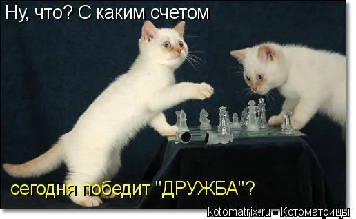 E.webp