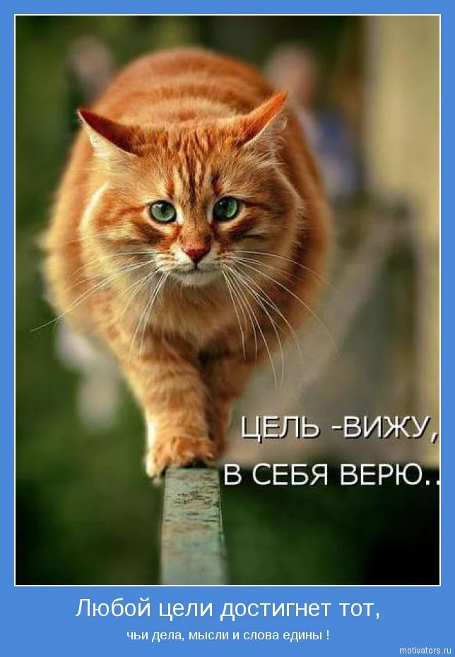 e034d8cfc7.webp