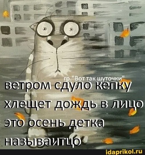 e0e6a981894a6a5dc3aab2313bae963d[1].webp