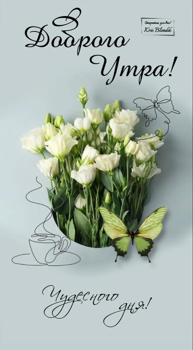 e254f14cd79e2056d39544fcbde75f50 (1).webp