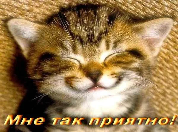 e2edff185855.webp