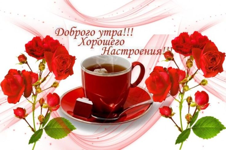 e42876eac3bd57ef07001151f272af6e (1).jpg