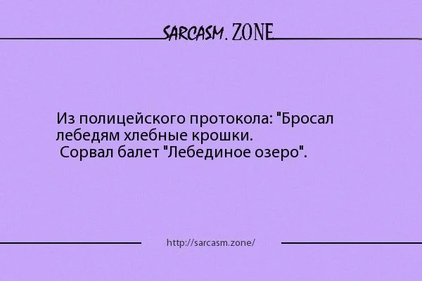 e514407b375e44211627b10643b60847.webp