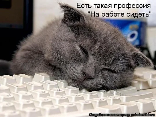 e5de0109bac16ee73290c3cf01d3bb42.webp