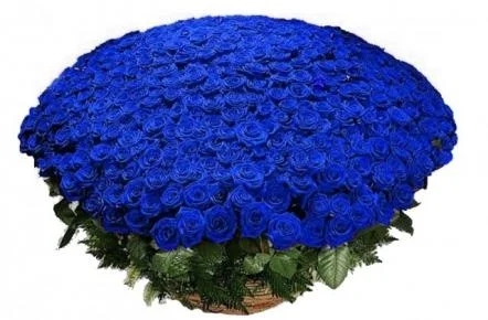 e685474c-4780-4a37-9037-00b094bffec7.webp