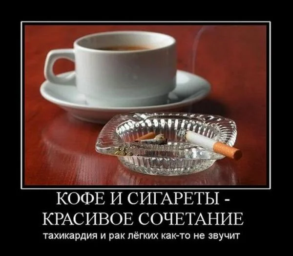 e6a9dc874888.webp