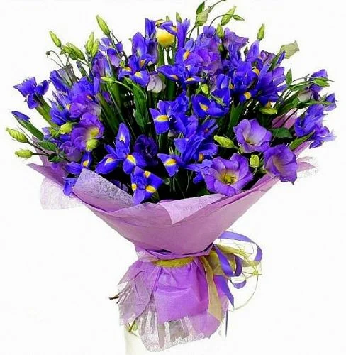 e6d8c4407737457ea76bb9e38046b39c (1).webp