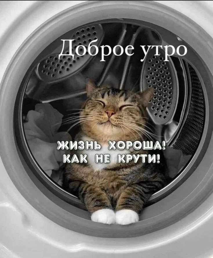 e7f4eb473b1a56cea2c1341a739dfabd.webp
