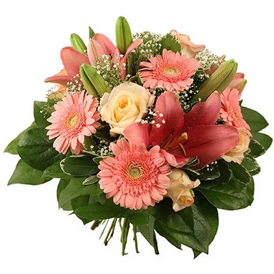 e93ef709a39884a47bbfeab3a1ec1cd7.webp