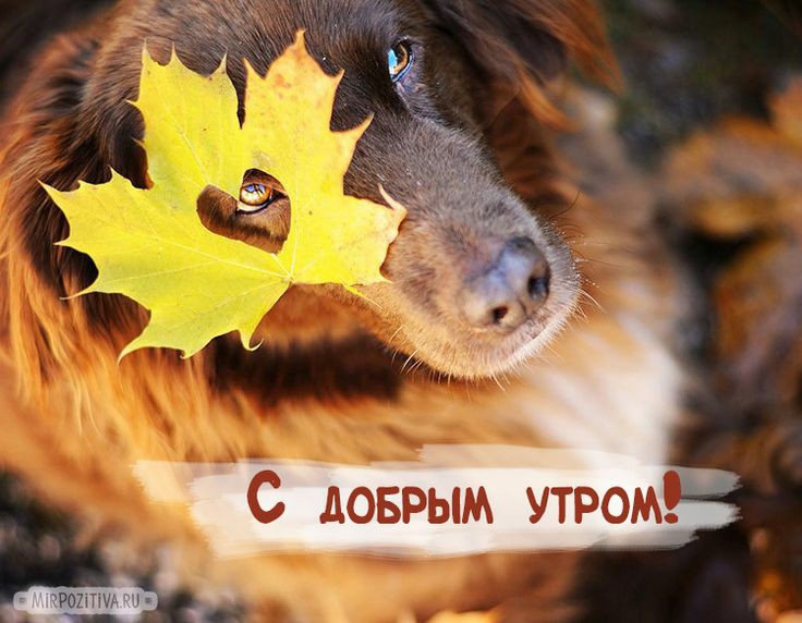e9d470581af334fe2ce068de8c45096b.jpg