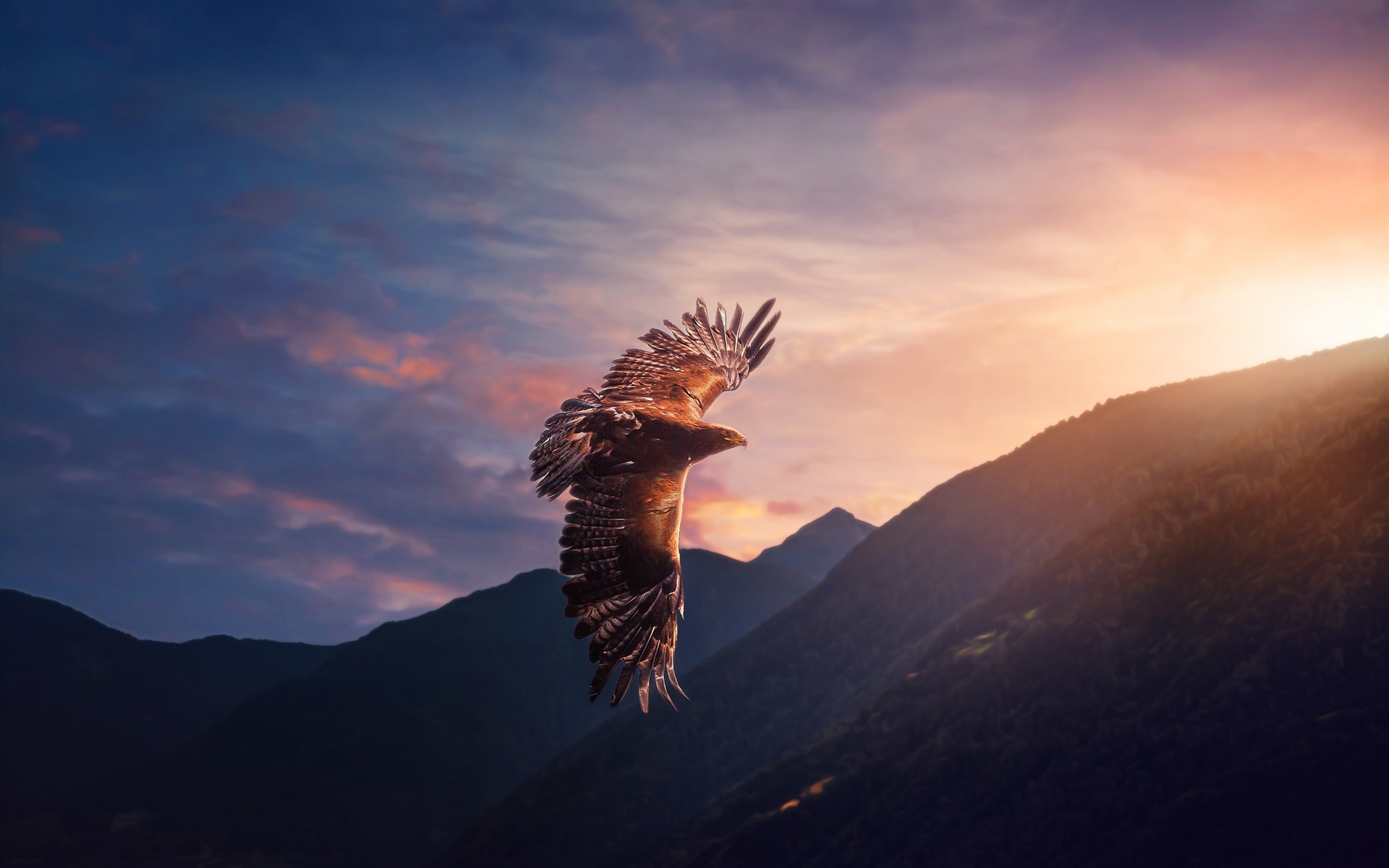 Eagle-flight-sunshine-mountains_1920x1200.jpg