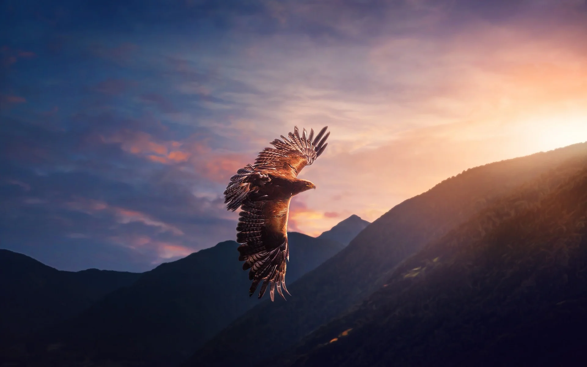Eagle-flight-sunshine-mountains_1920x1200.webp